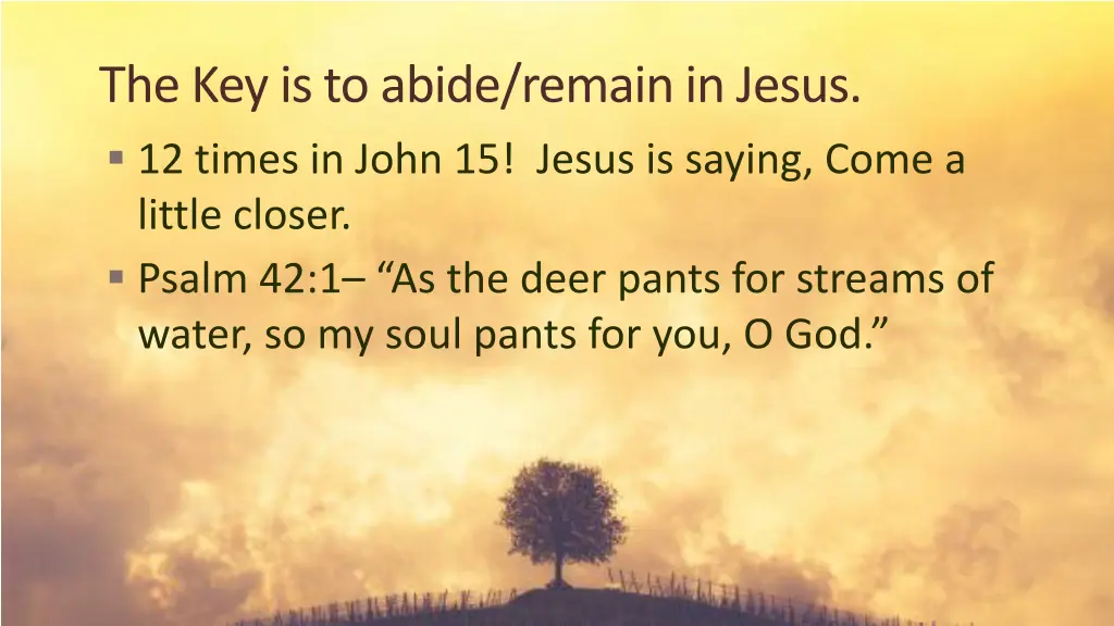 the key is to abide remain in jesus 12 times