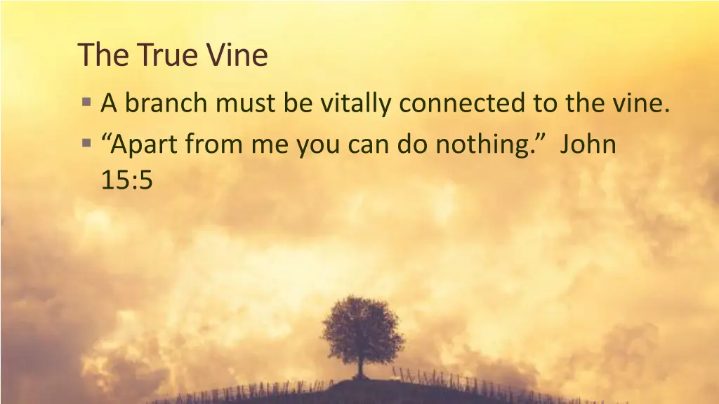 the true vine a branch must be vitally connected