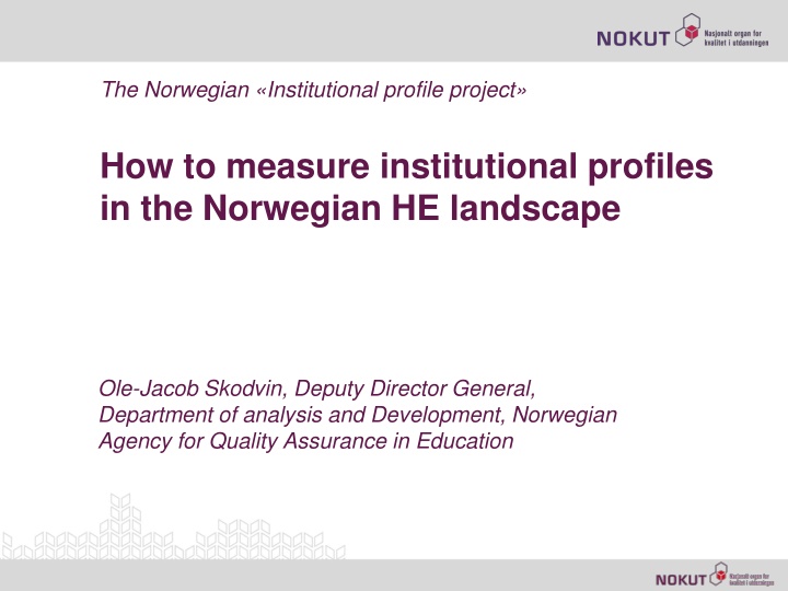 the norwegian institutional profile project