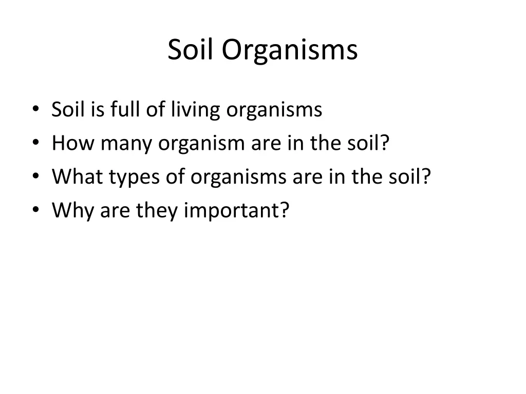 soil organisms 1