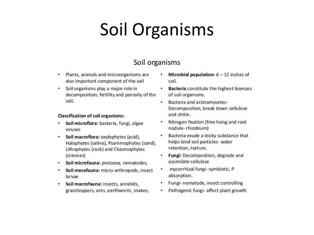 soil organisms 3