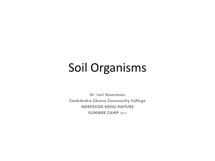 soil organisms