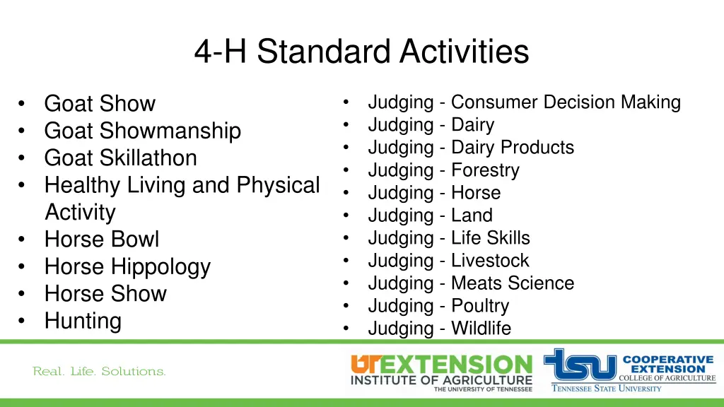 4 h standard activities 2