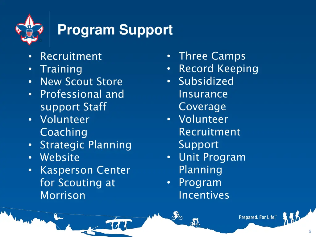 program support