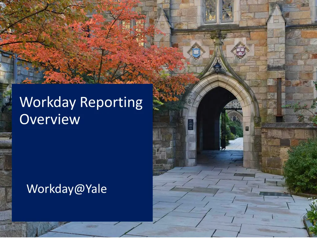 workday reporting overview