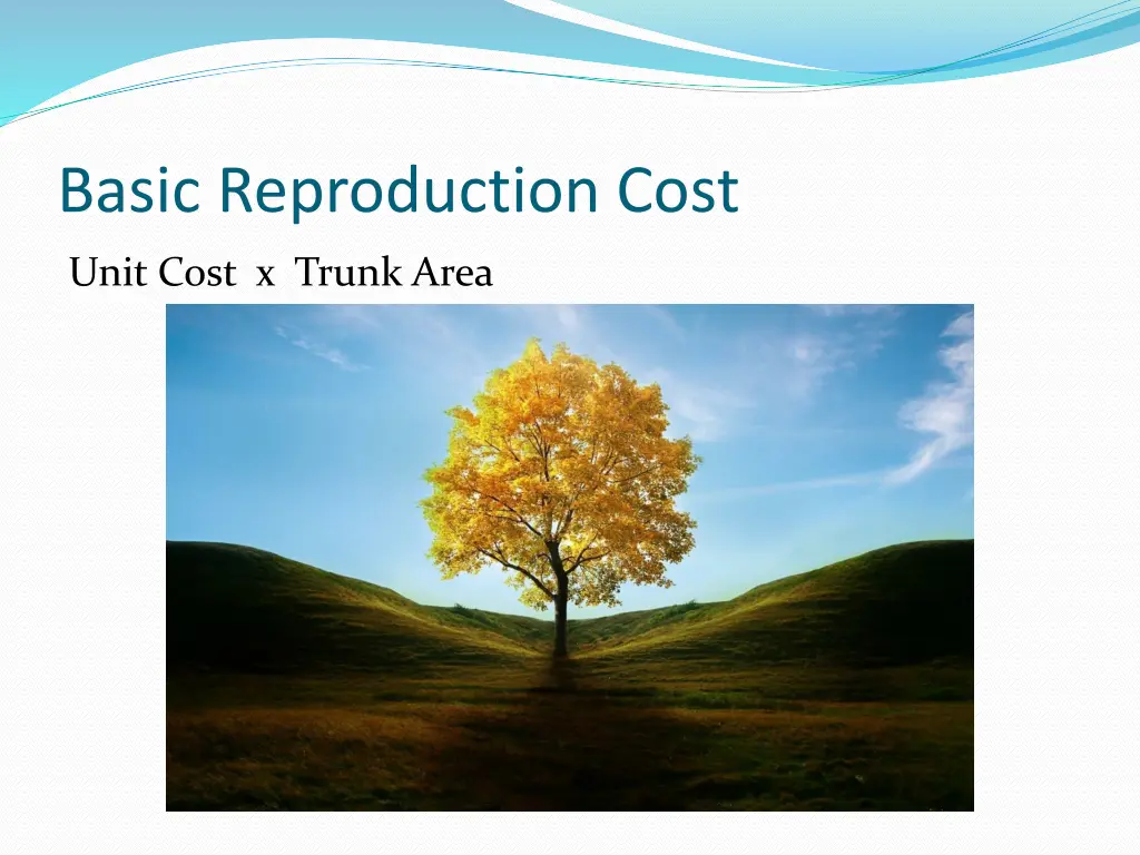 basic reproduction cost