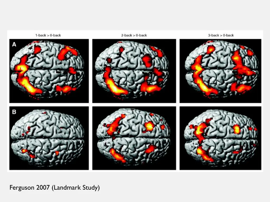 ferguson 2007 landmark study