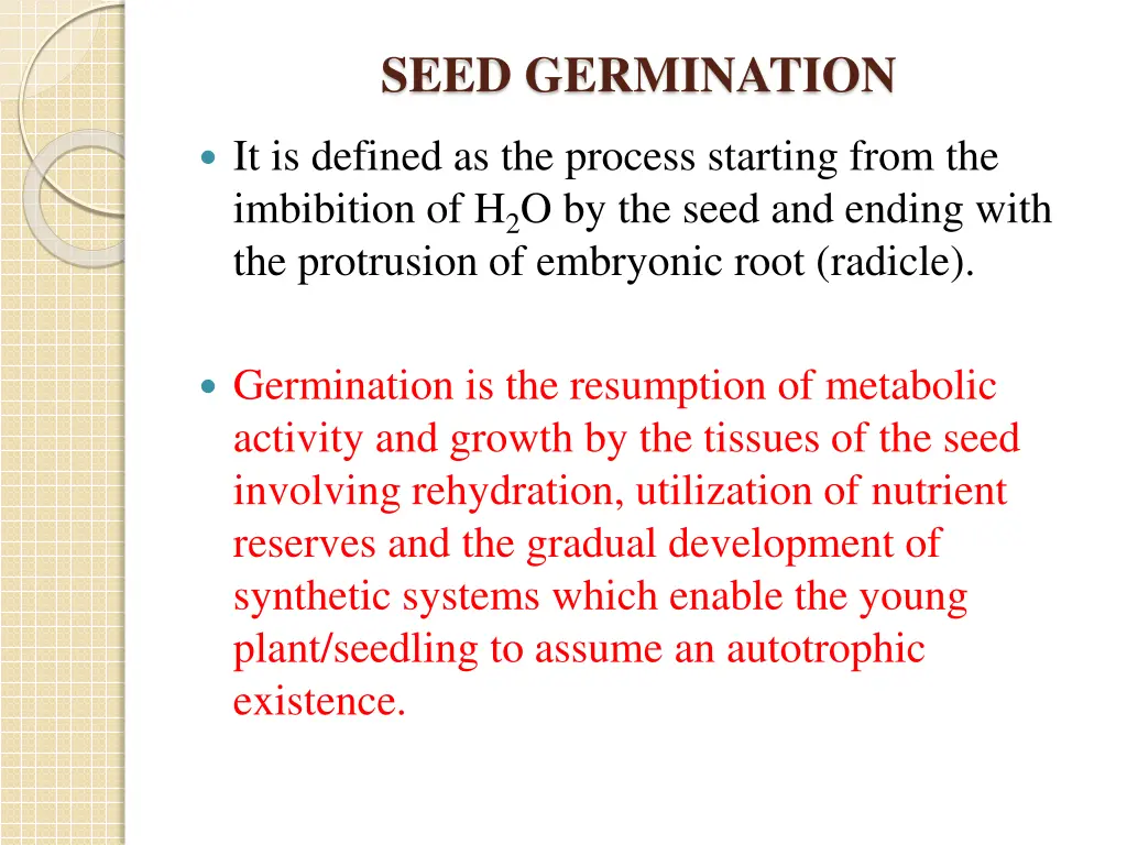 seed germination