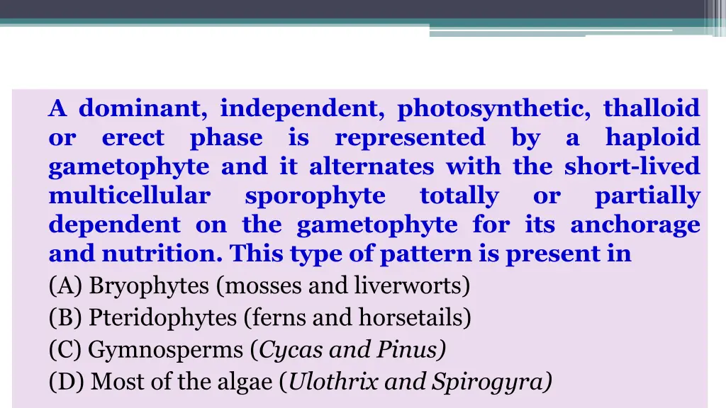 a dominant independent photosynthetic thalloid