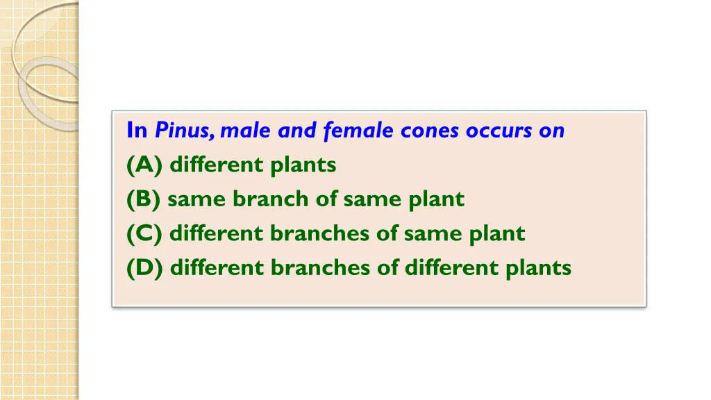 in pinus male and female cones occurs