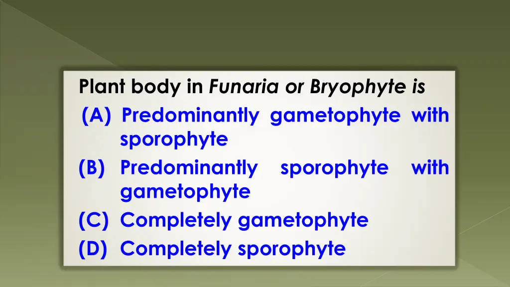 plant body in funaria or bryophyte