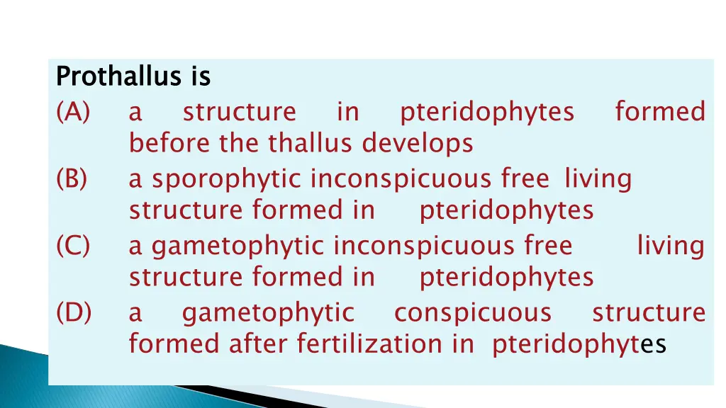 prothallus a