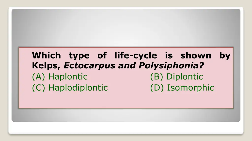 which kelps ectocarpus and polysiphonia