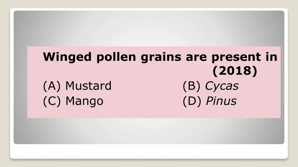 winged pollen grains are present in