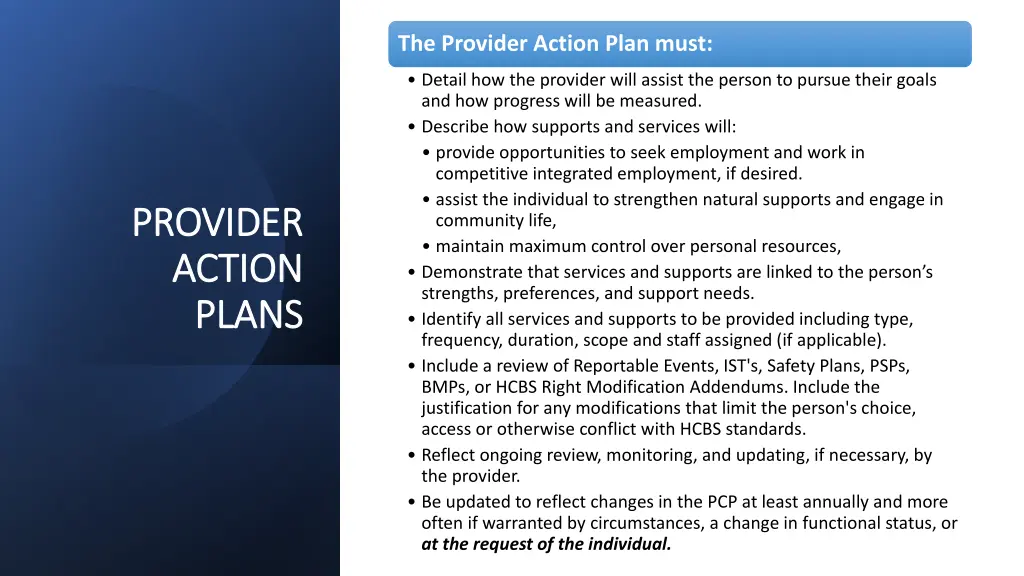 the provider action plan must