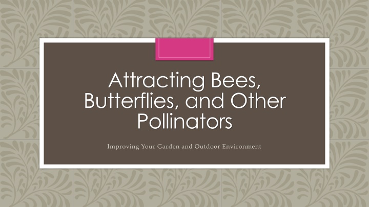 attracting bees butterflies and other pollinators