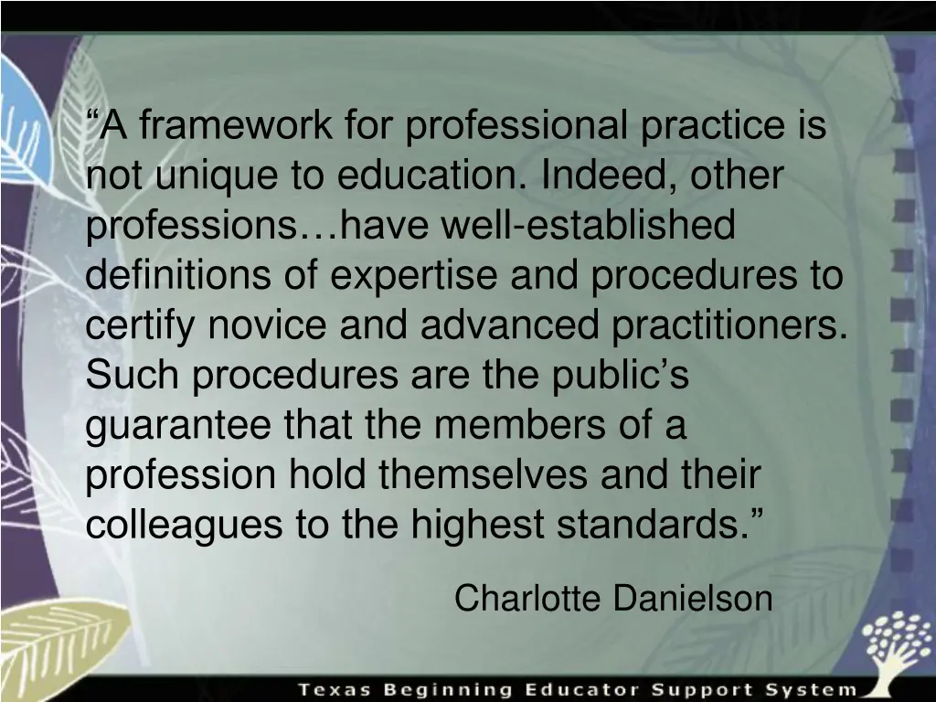 a framework for professional practice