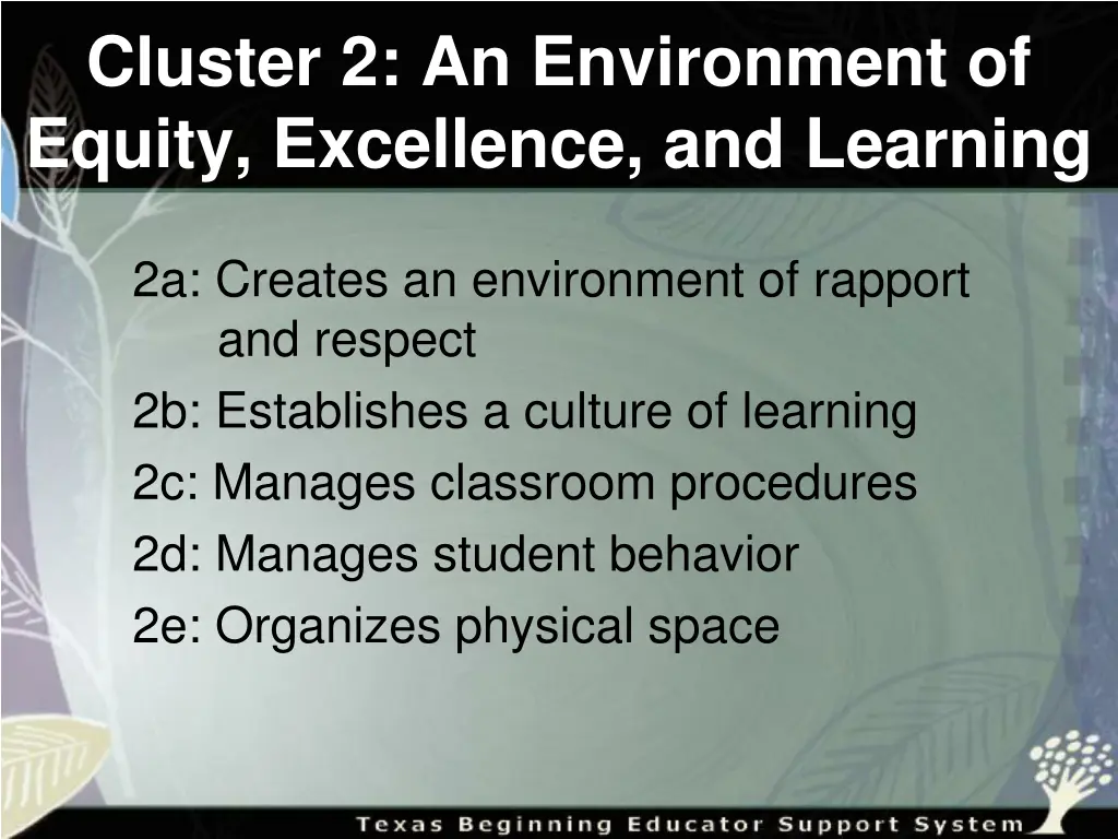 cluster 2 an environment of equity excellence