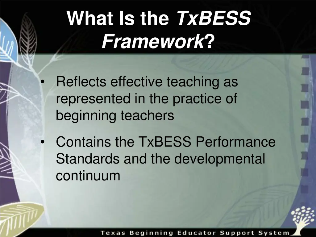 what is the txbess framework