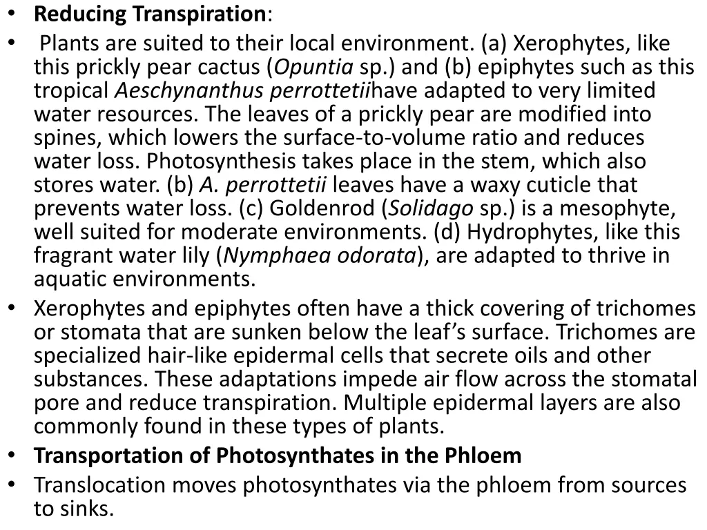 reducing transpiration plants are suited to their