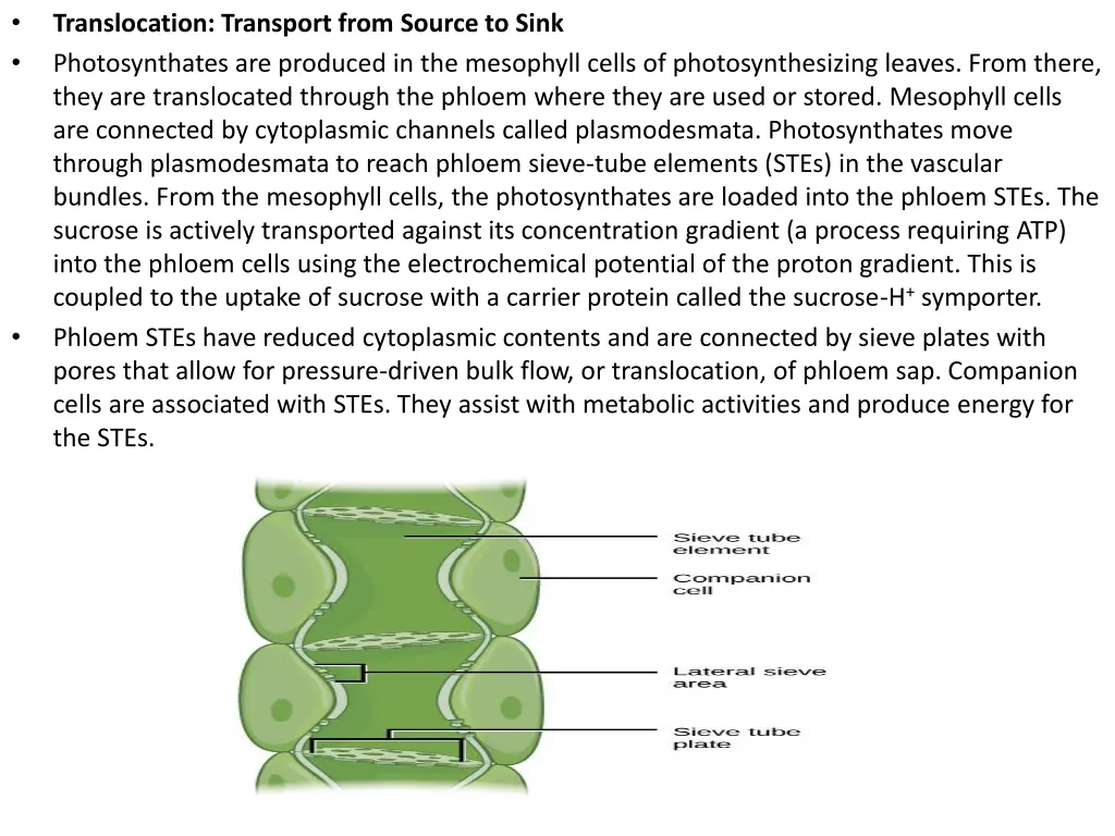 slide22