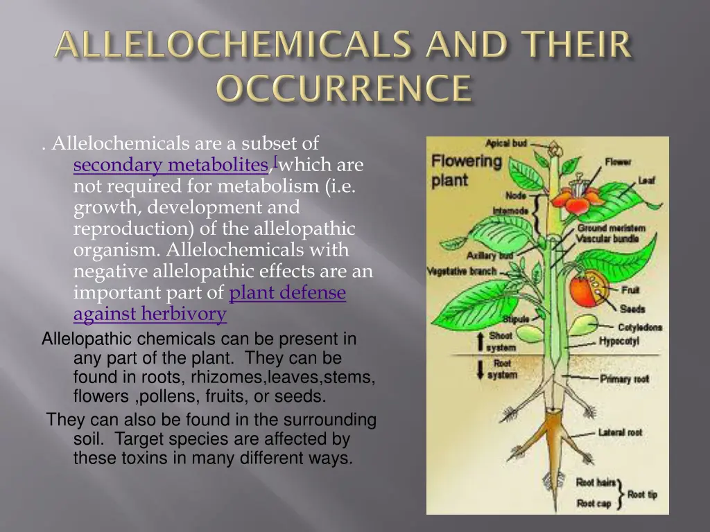 allelochemicals are a subset of secondary