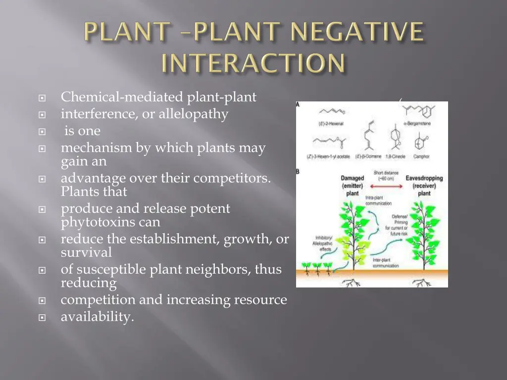 chemical mediated plant plant interference