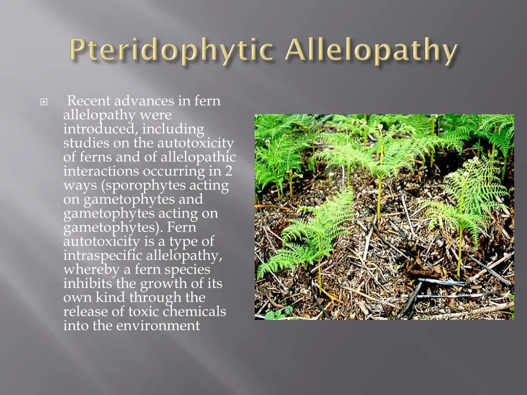 recent advances in fern allelopathy were