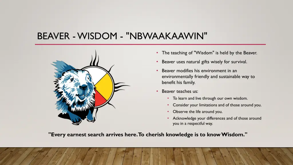 beaver wisdom nbwaakaawin