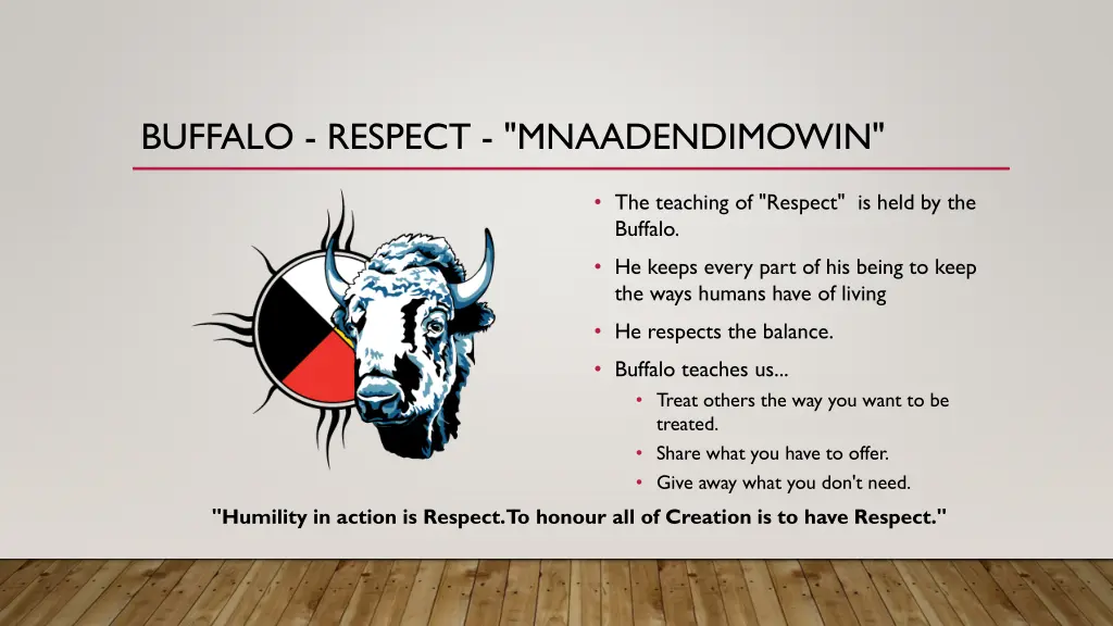 buffalo respect mnaadendimowin