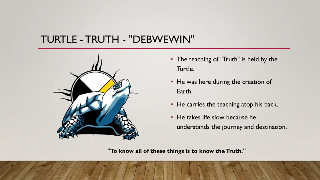 turtle truth debwewin