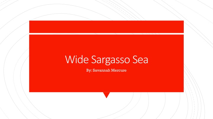 wide sargasso sea by savannah mercure