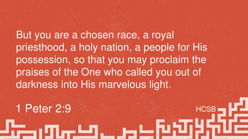 but you are a chosen race a royal priesthood