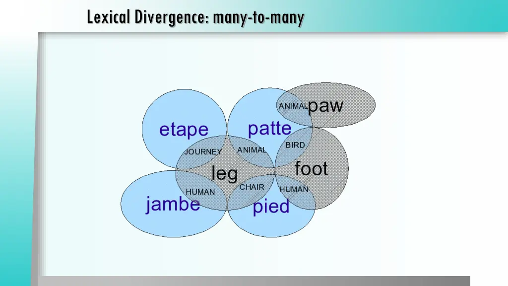 lexical divergence many to many