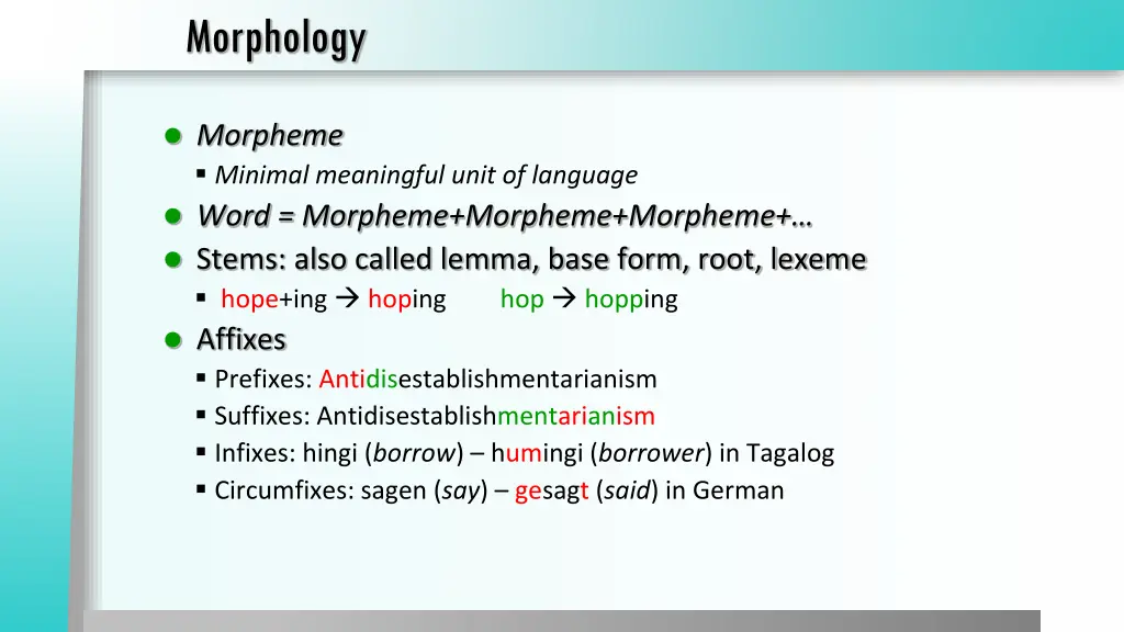 morphology