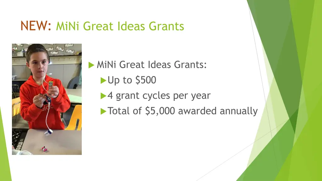 new mini great ideas grants