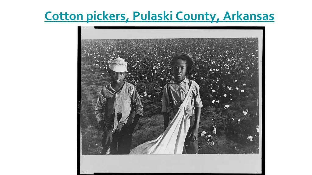 cotton pickers pulaski county arkansas