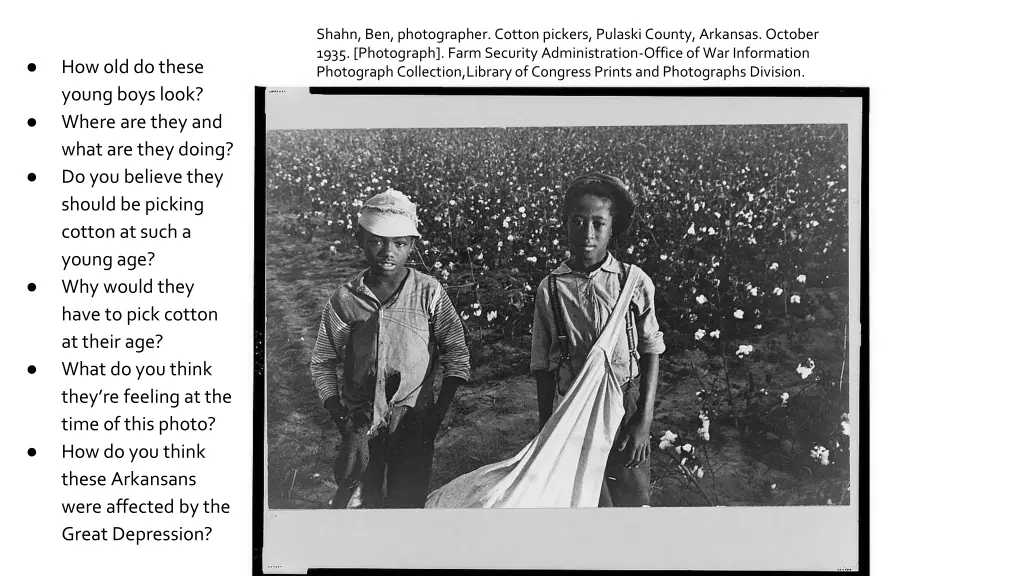 shahn ben photographer cotton pickers pulaski