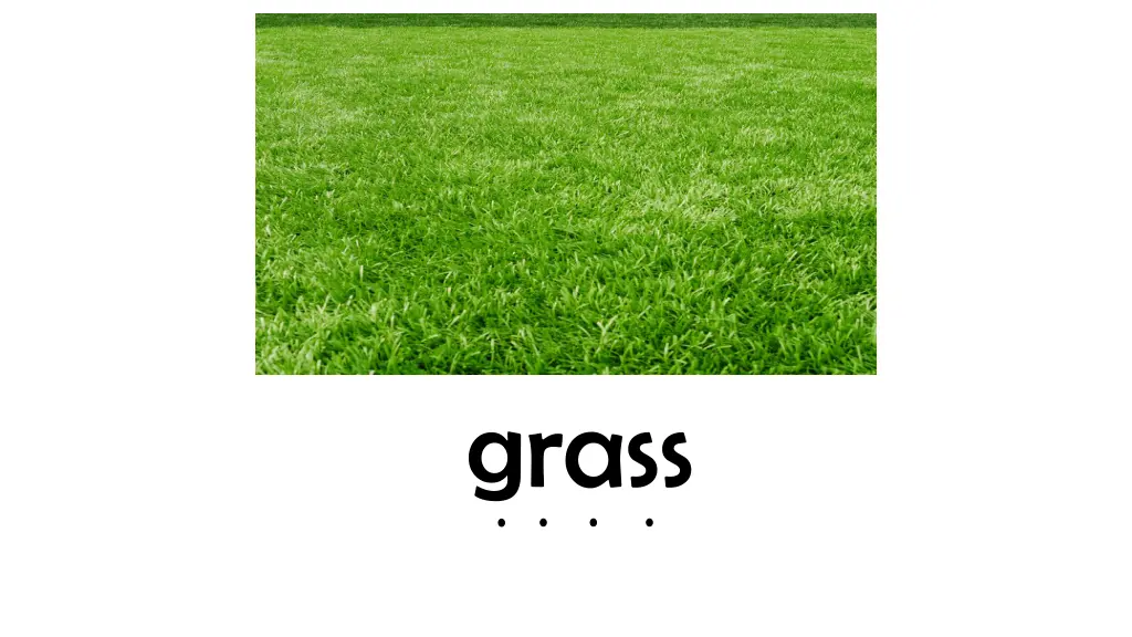 grass