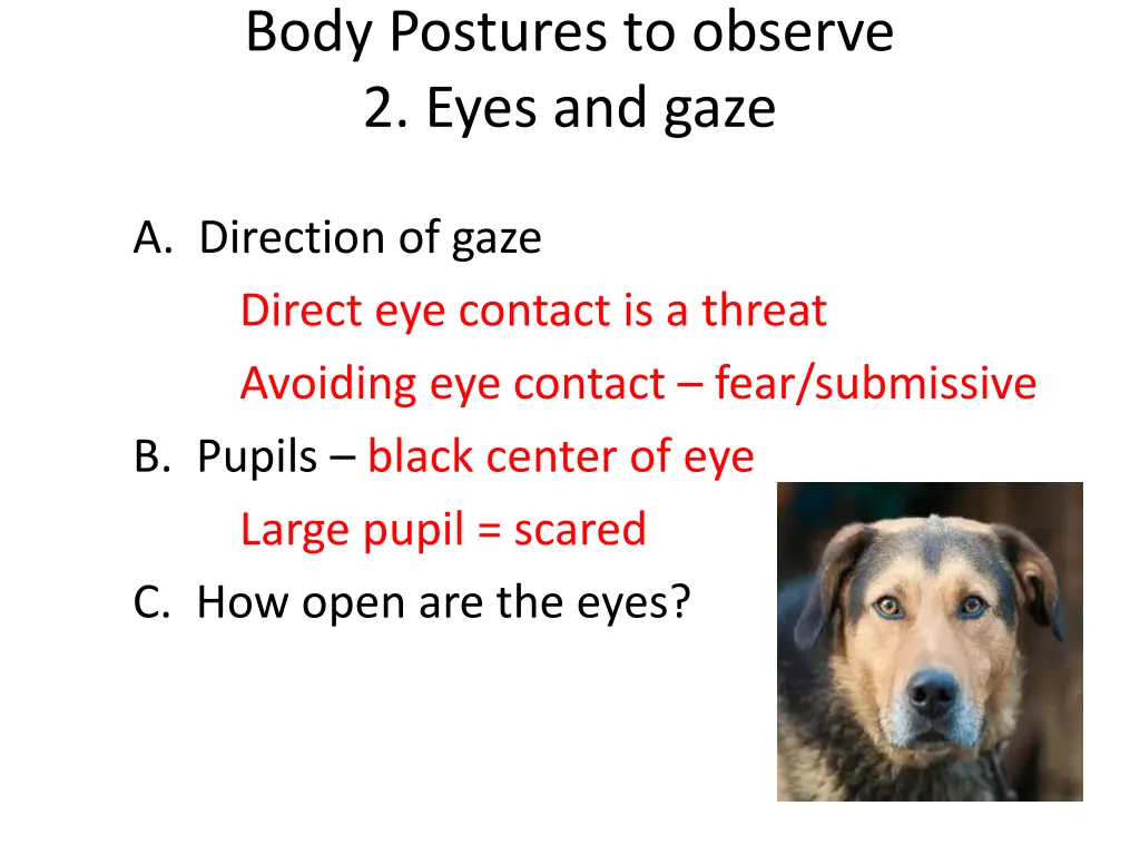 body postures to observe 2 eyes and gaze