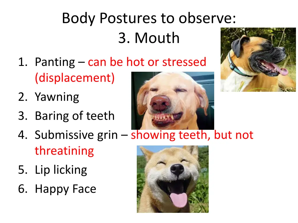 body postures to observe 3 mouth