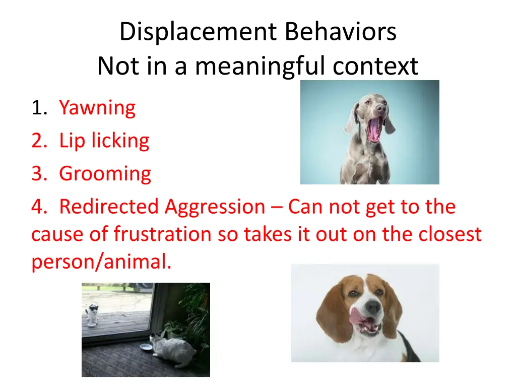 displacement behaviors not in a meaningful context