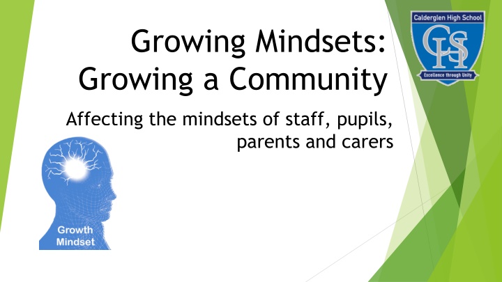 growing mindsets growing a community