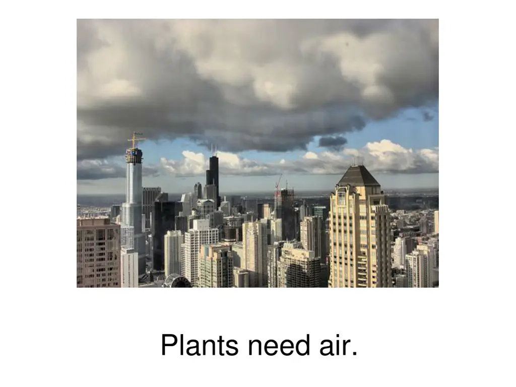 plants need air