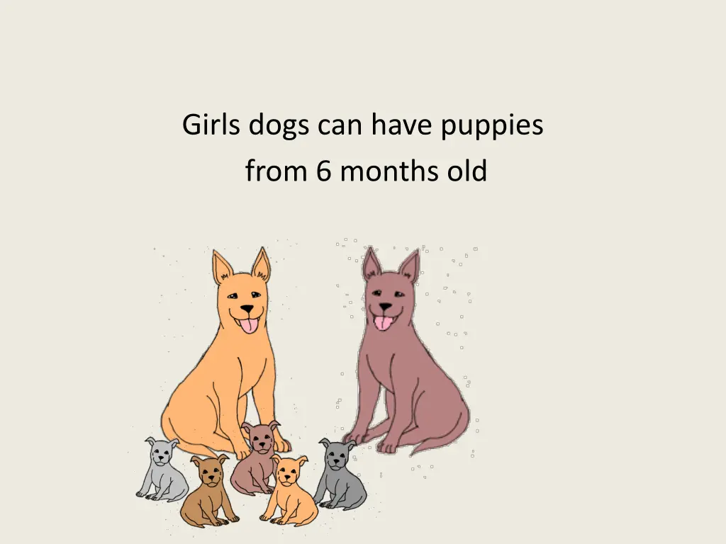 girls dogs can have puppies from 6 months old