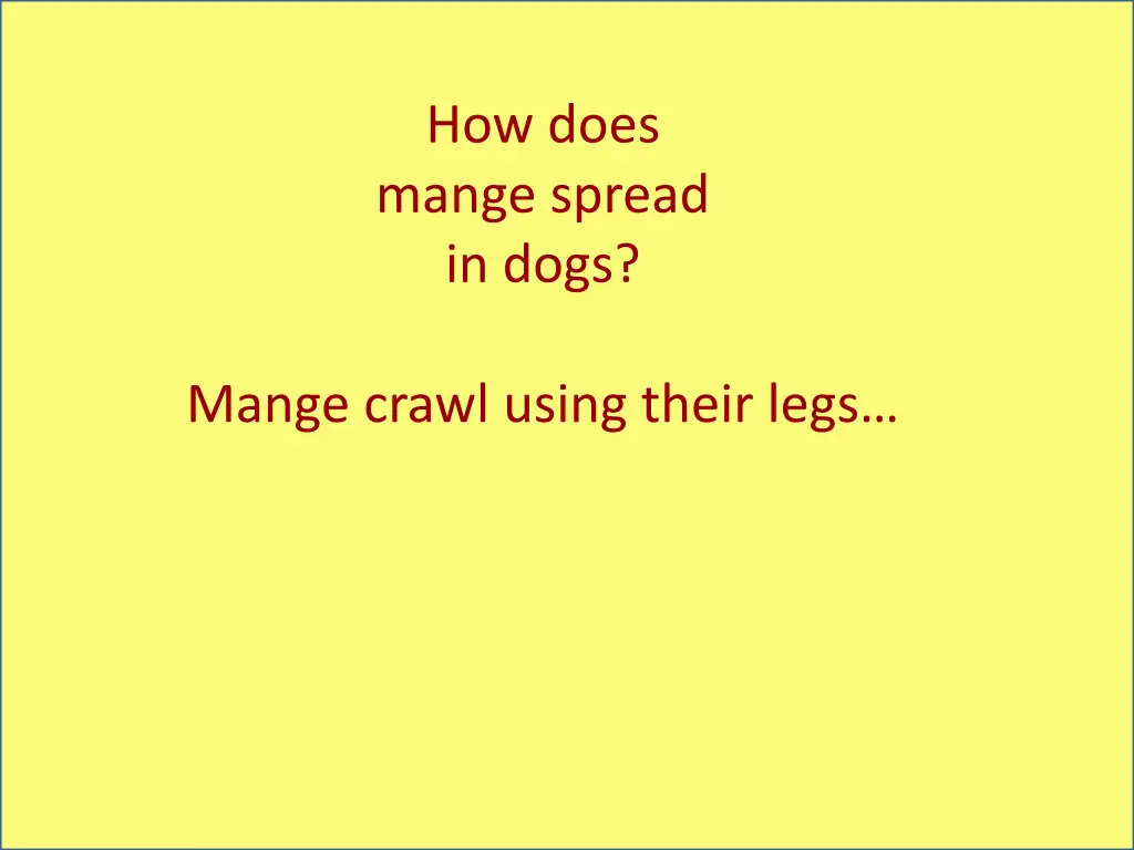 how does mange spread in dogs 1