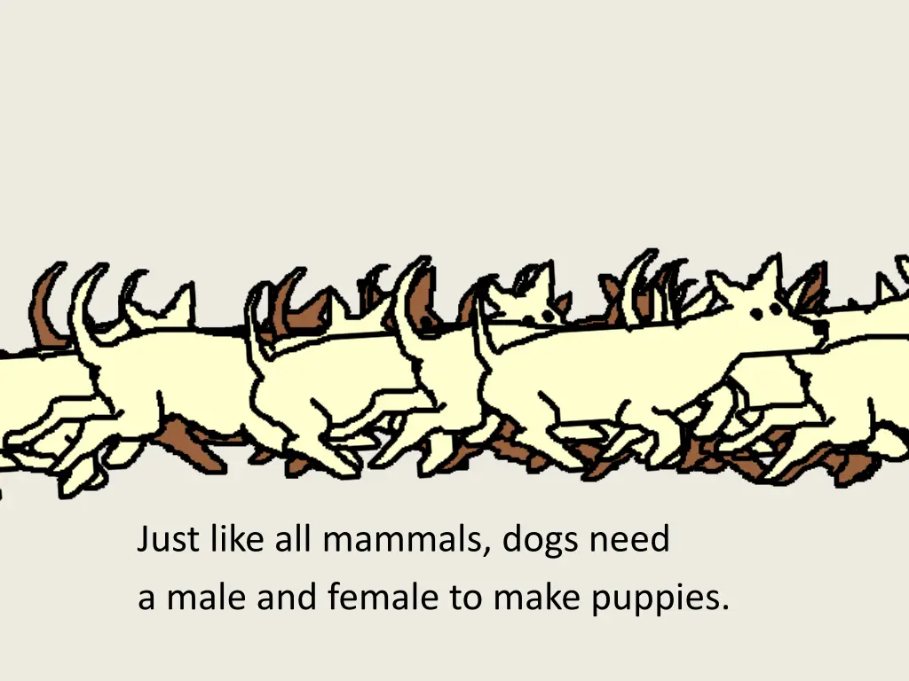 just like all mammals dogs need a male and female