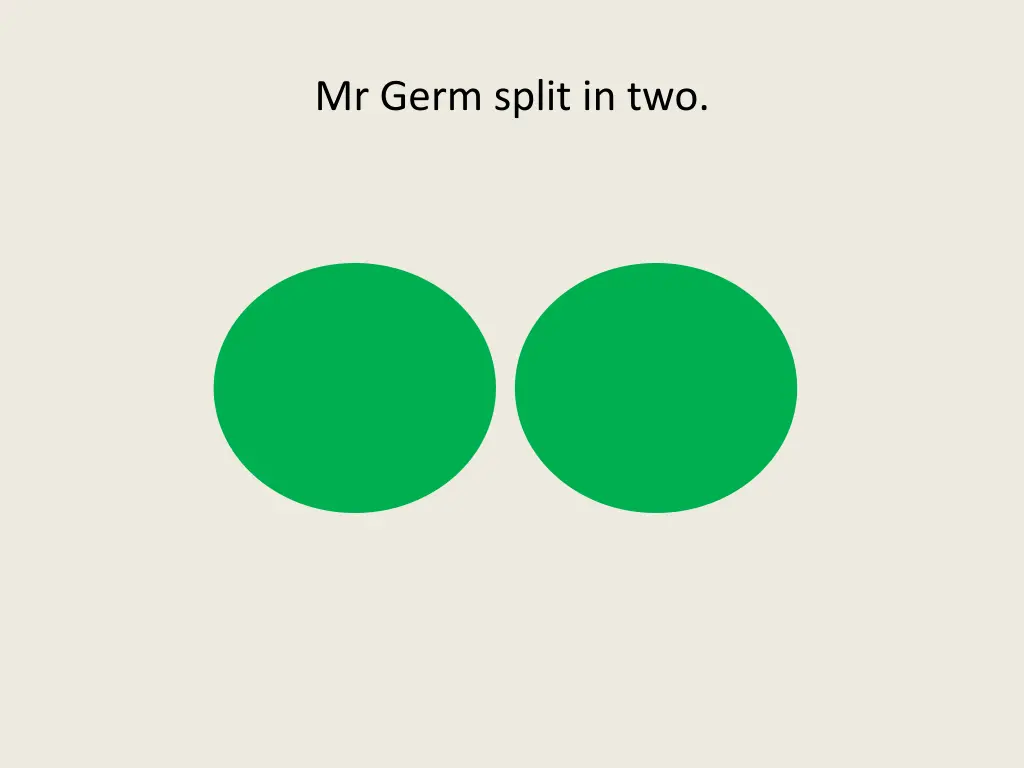 mr germ split in two