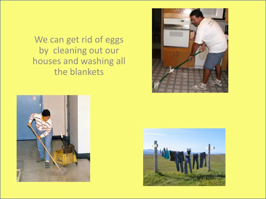 we can get rid of eggs by cleaning out our houses