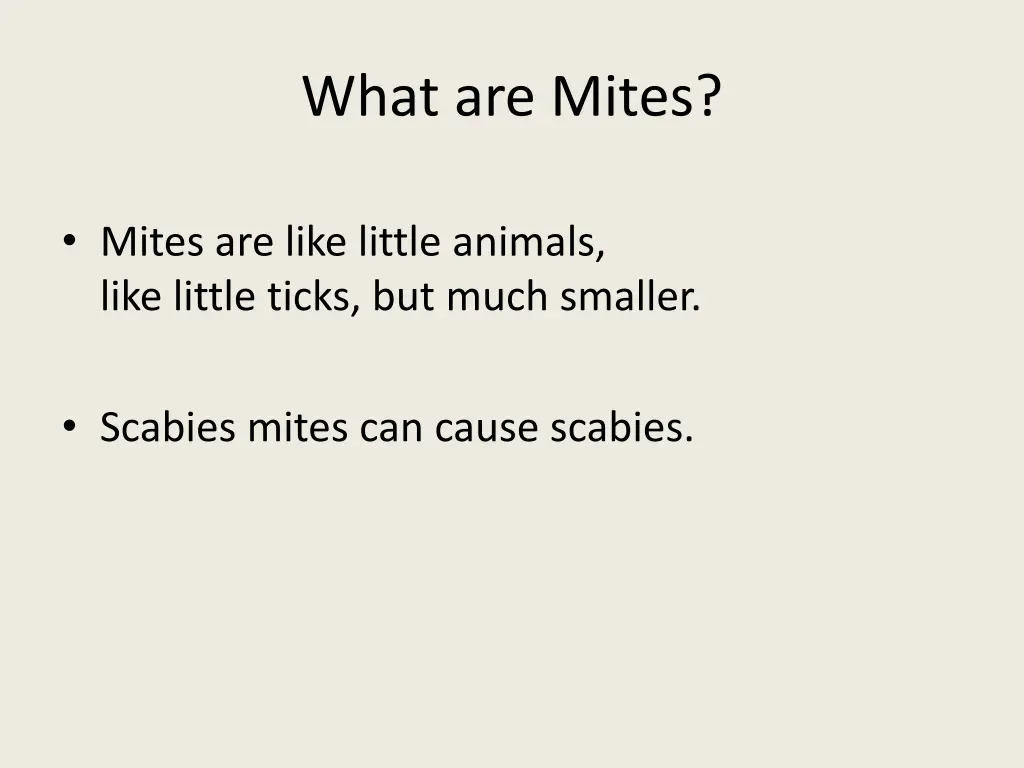 what are mites